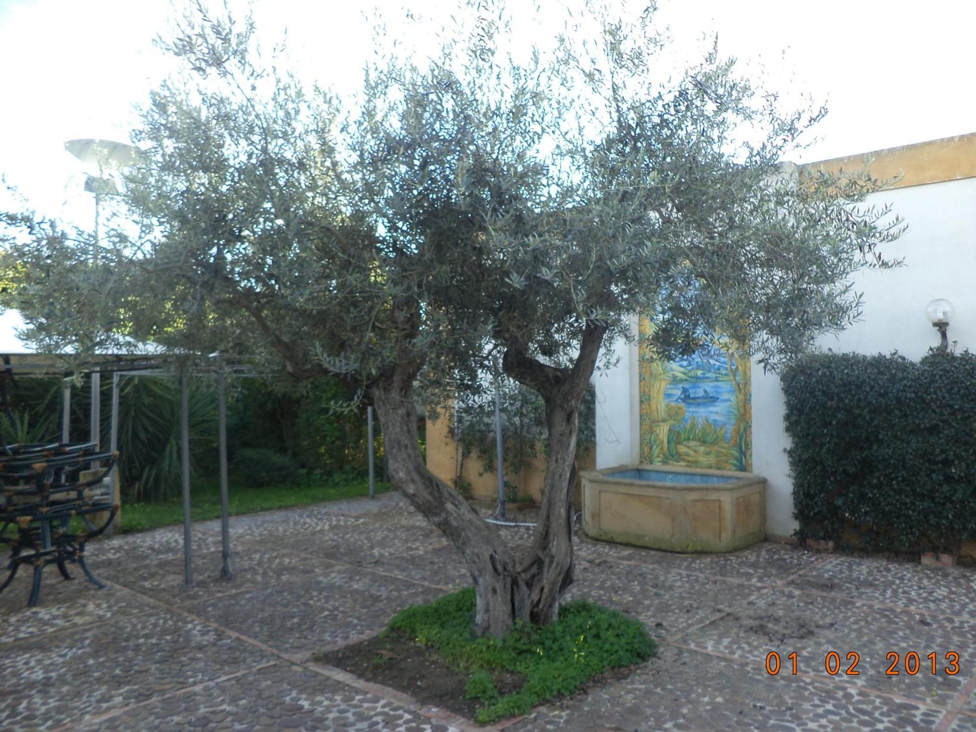 Hotel Villa Palocla Sciacca Extérieur photo